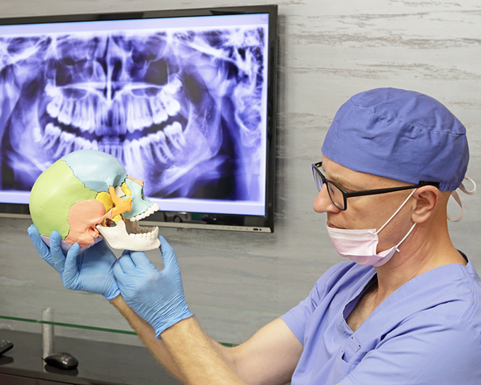 Dentist holding a model of the skull and pointing to the jawbone